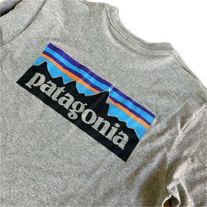 Patagonia‎ Men's Long-Sleeved P-6 Logo Responsibili-Tee Gray Size Small STY39161